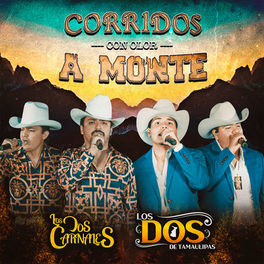 Album cover of Corridos Con Olor a Monte (En Vivo)