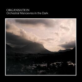 Album cover of Organisation