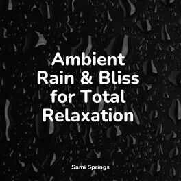 Album cover of Ambient Rain & Bliss for Total Relaxation