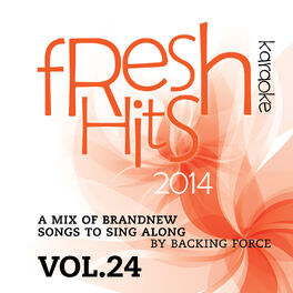 Album cover of Fresh Karaoke Hits - 2014 - Vol. 24