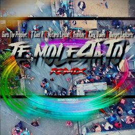 Album cover of Te Molesta To (Remix)