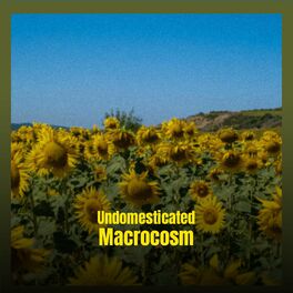 Album cover of Undomesticated Macrocosm