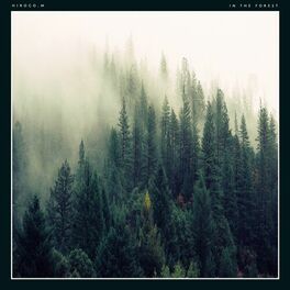 Album cover of In the Forest