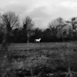 Album cover of when you run away, do you close your eyes