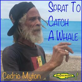 Album cover of Sprat to Catch a Whale