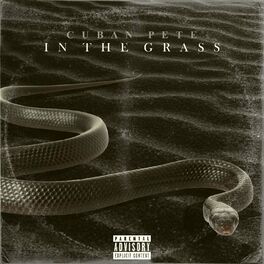Album cover of In The Grass