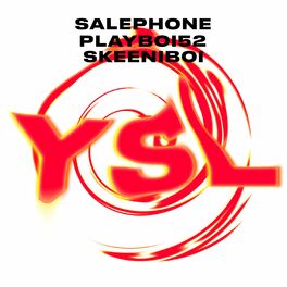Album cover of YSL (feat. Skeeniboi & Playboi52)