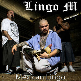 Album cover of Mexican Lingo