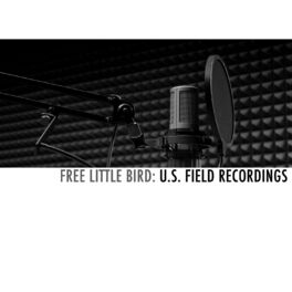 Album cover of Free Little Bird: U.S. Field Recordings