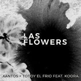Album cover of Las Flowers