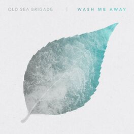Album cover of Wash Me Away