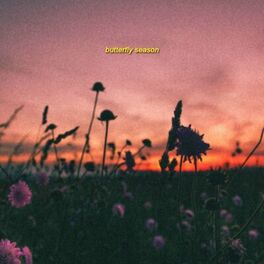 Album cover of Butterfly Season
