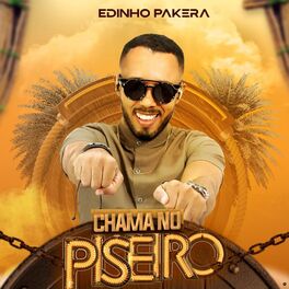Album cover of Chama no Piseiro
