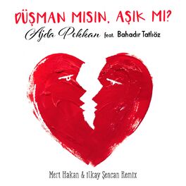 Album cover of Düşman mısın Aşık mı? (Mert Hakan & İlkay Şencan Remix)