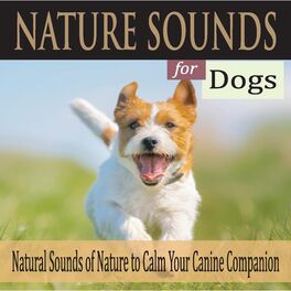Album cover of Nature Sounds for Dogs: Natural Sounds of Nature to Calm Your Canine Companion