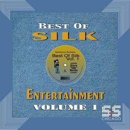 Album cover of Best Of Silk Entertainment, Vol.1