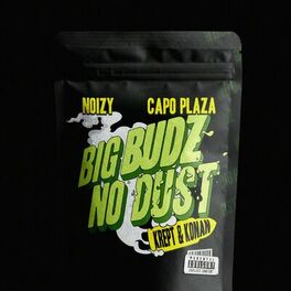 Album cover of Big Budz No Dust