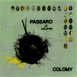 Album cover of Pássaro Livre