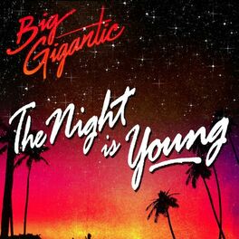 Album cover of The Night Is Young