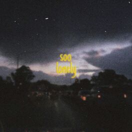 Album cover of soo lonely