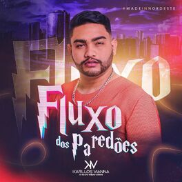 Album cover of Fluxo dos Paredões