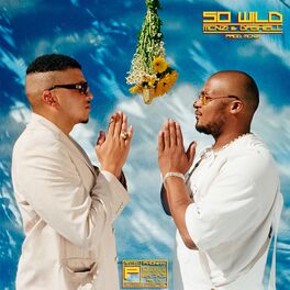 Album cover of So Wild