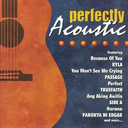 Album cover of Perfectly Acoustic
