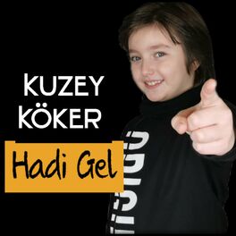 Album cover of Hadi Gel