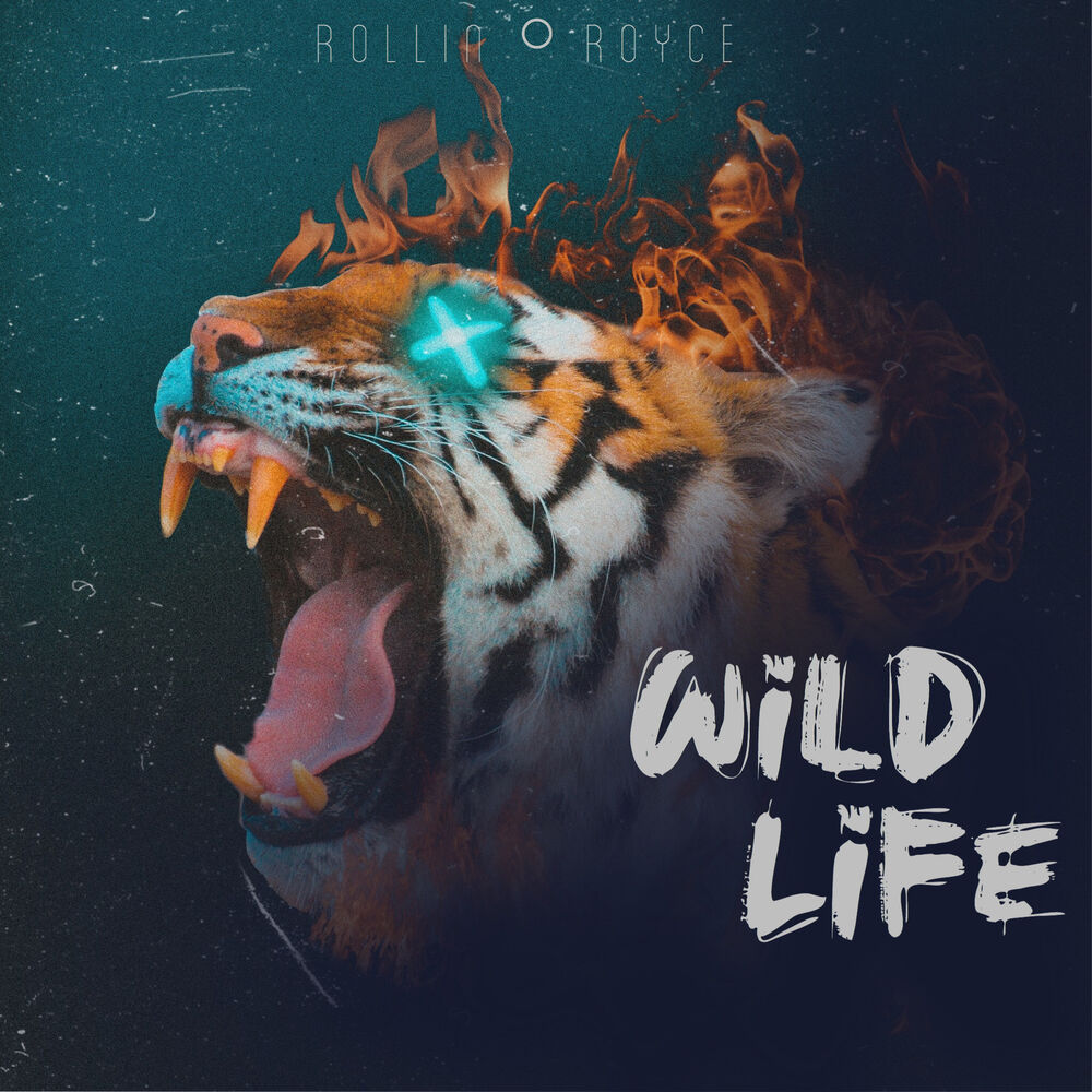 Wildlife text. Wild Life альбом разбор. Crazy about Wildlife песня.
