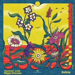 Album cover of Salvia