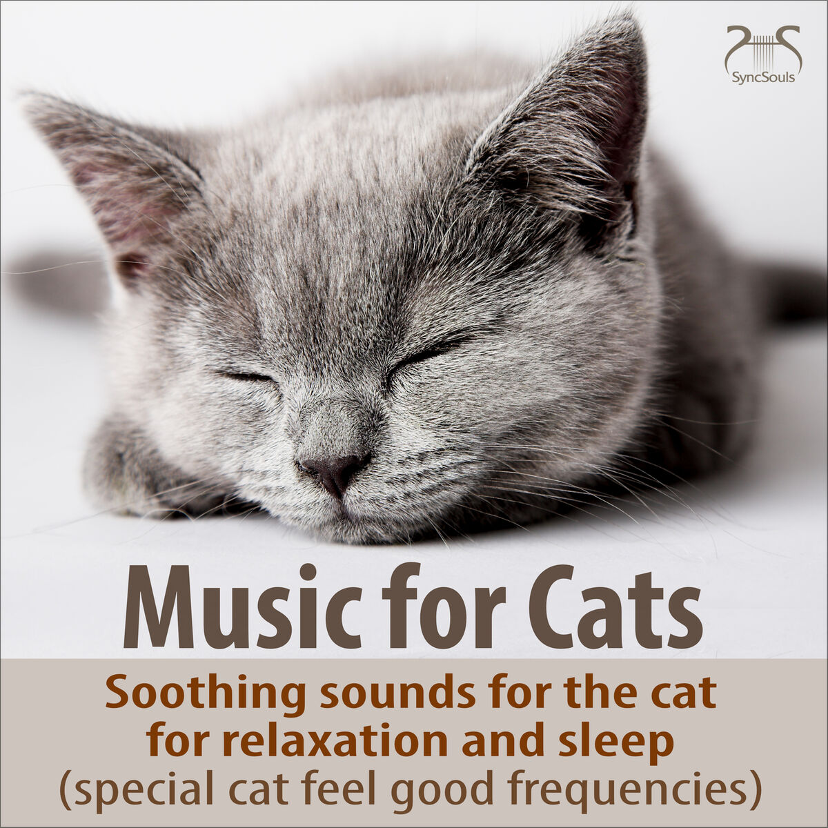 Music for Cats TA Music for Cats Soothing Sounds for the Cat for Relaxation and Sleep Special Cat Feel Good Frequencies letras de canciones Deezer