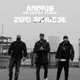 Album cover of Zwei Schüsse