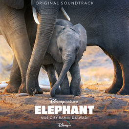 Album cover of Elephant (Original Soundtrack)