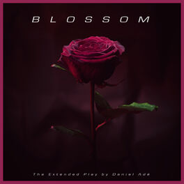 Album cover of Blossom