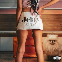 Album cover of Joias Caras