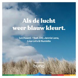 Album cover of Als de lucht weer blauw kleurt