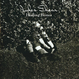 Album cover of Healing Bones