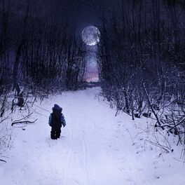 Album cover of Nie wieder Winter