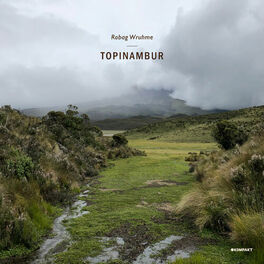 Album cover of Topinambur EP