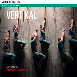 Album cover of Vertikal