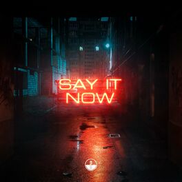 Album cover of Say It Now