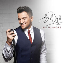 Album cover of Big Night