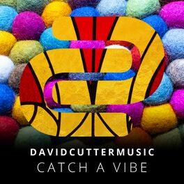 Album cover of Catch a Vibe