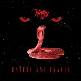 Album cover of Haters And Snakes (feat. Nathy Mc)