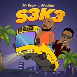 Album cover of S3k3
