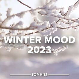 Album cover of Winter Mood 2023