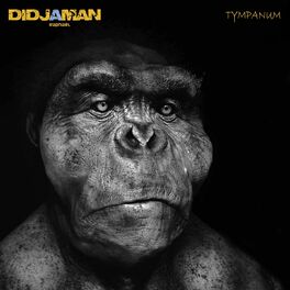 Album cover of Tympanum