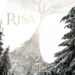 Album cover of Rísa