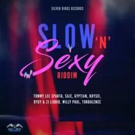 Album cover of Slow n' Sexy Riddim