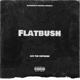 Album cover of Flatbush (feat. Siege & Plasthic Slash)